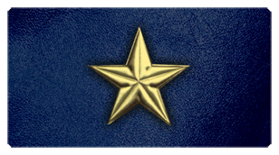 DSC700 430 GD BL Star Gold Blue